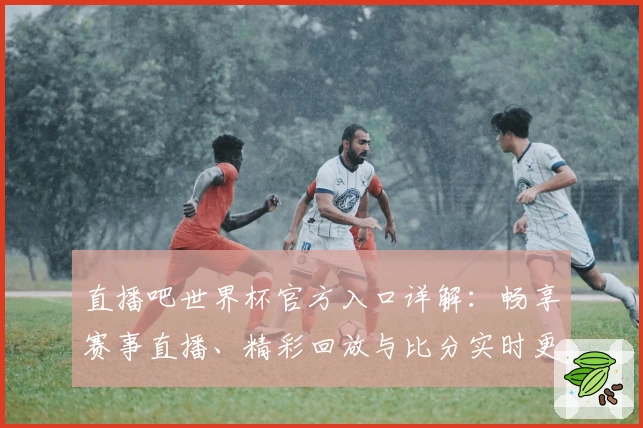 直播吧世界杯官方入口详解:畅享赛事直播、精彩回放与比分实时更新教程